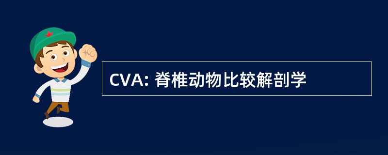 CVA: 脊椎动物比较解剖学