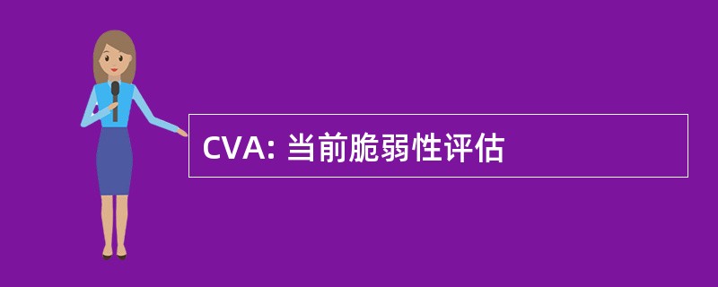 CVA: 当前脆弱性评估