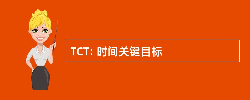 TCT: 时间关键目标