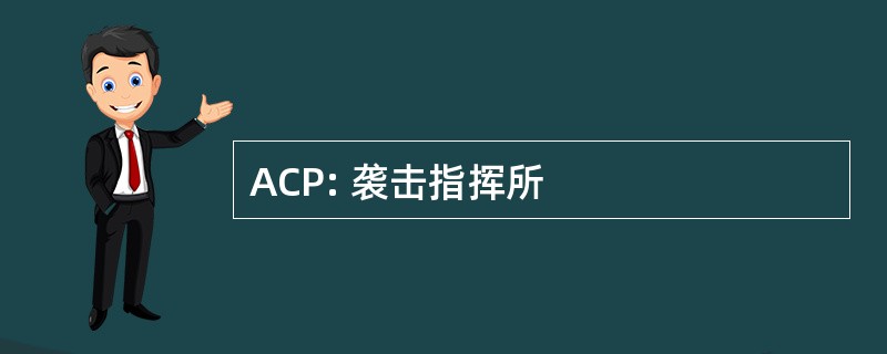 ACP: 袭击指挥所