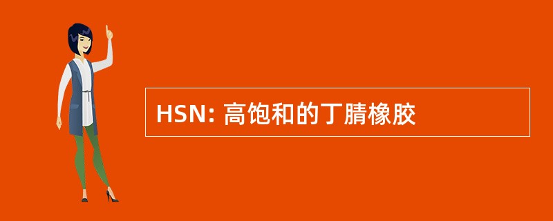 HSN: 高饱和的丁腈橡胶