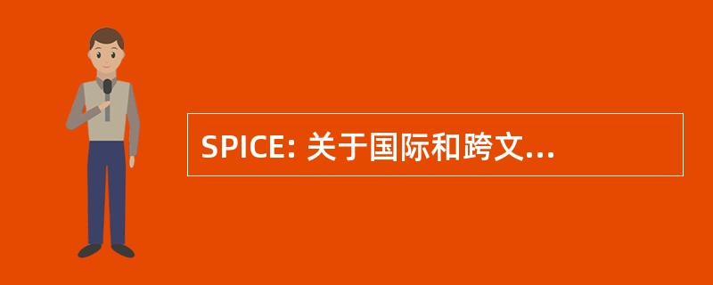 SPICE: 关于国际和跨文化教育的斯坦福大学课程