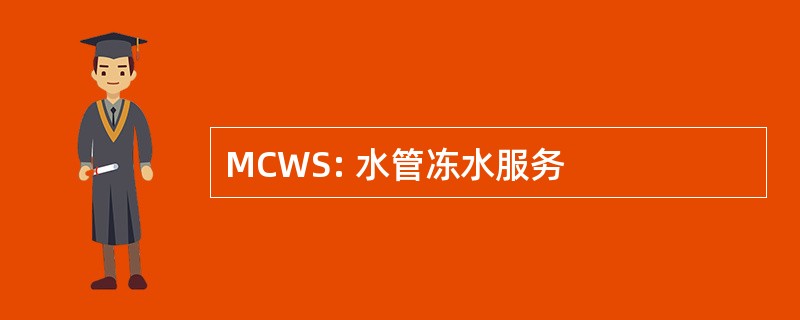 MCWS: 水管冻水服务