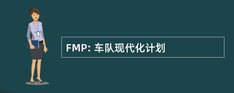 FMP: 车队现代化计划