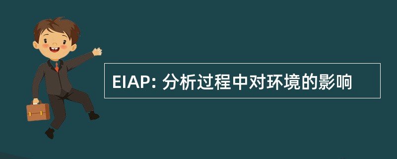 EIAP: 分析过程中对环境的影响