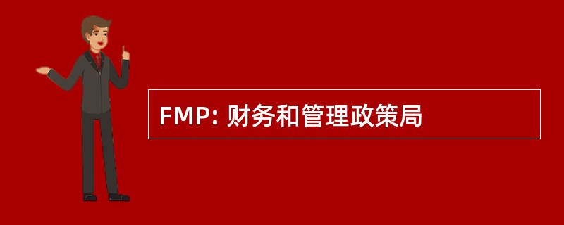 FMP: 财务和管理政策局