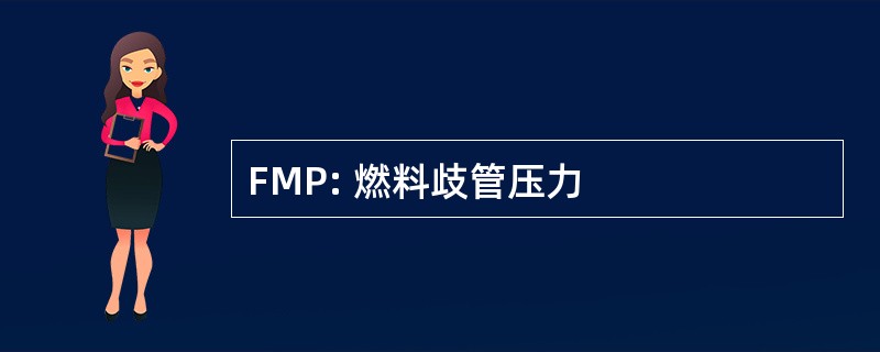 FMP: 燃料歧管压力