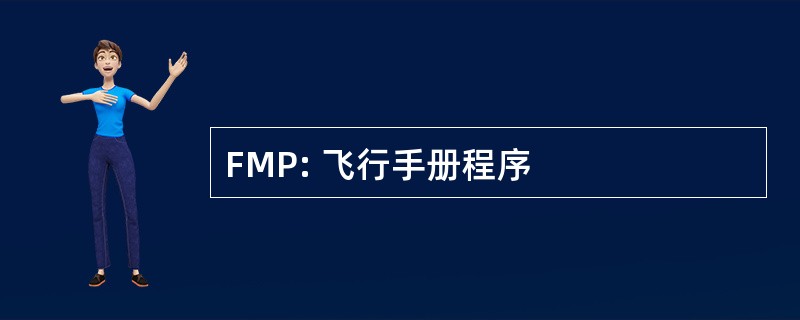 FMP: 飞行手册程序