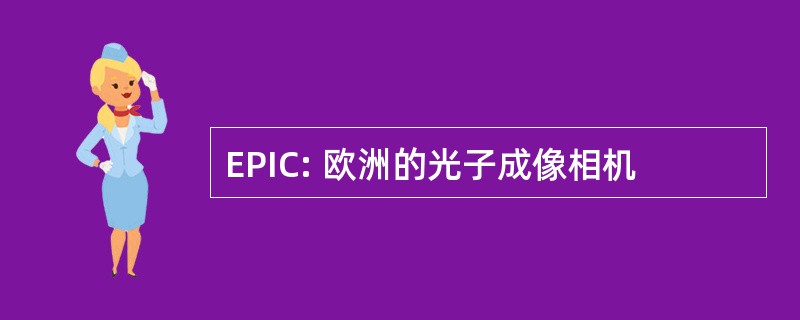 EPIC: 欧洲的光子成像相机