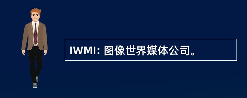 IWMI: 图像世界媒体公司。