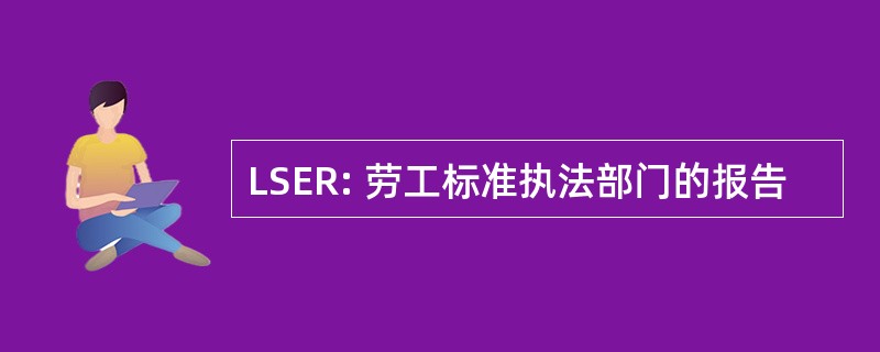 LSER: 劳工标准执法部门的报告