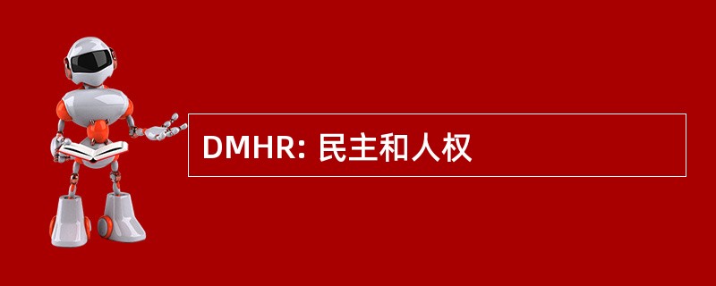 DMHR: 民主和人权