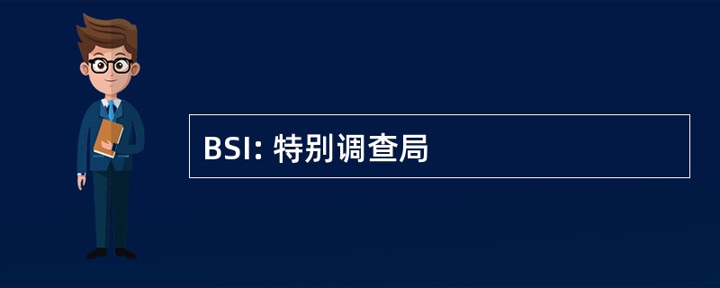 BSI: 特别调查局