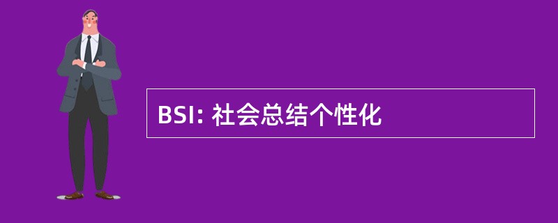 BSI: 社会总结个性化