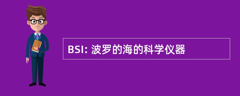 BSI: 波罗的海的科学仪器