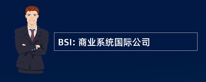 BSI: 商业系统国际公司