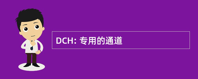 DCH: 专用的通道