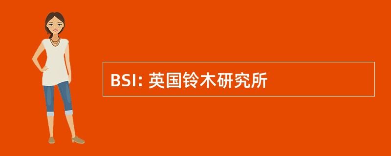 BSI: 英国铃木研究所