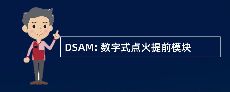 DSAM: 数字式点火提前模块