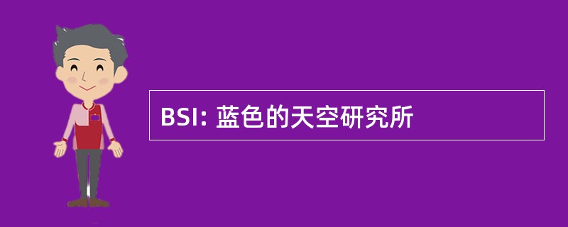 BSI: 蓝色的天空研究所