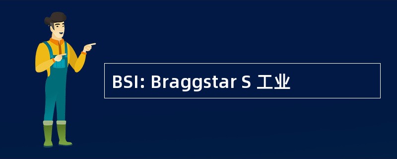 BSI: Braggstar S 工业