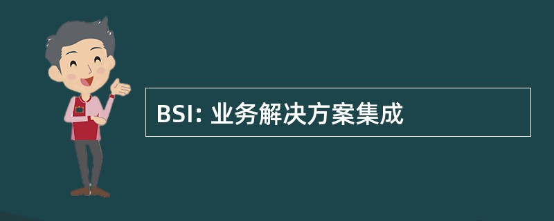 BSI: 业务解决方案集成