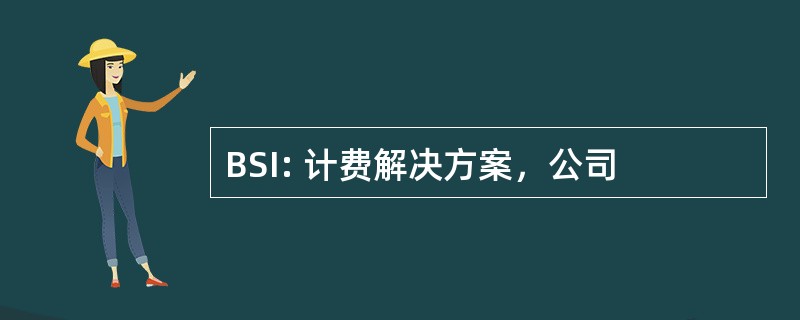 BSI: 计费解决方案，公司