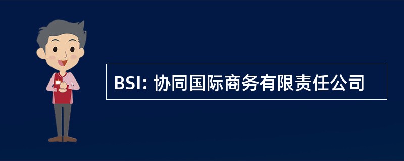 BSI: 协同国际商务有限责任公司