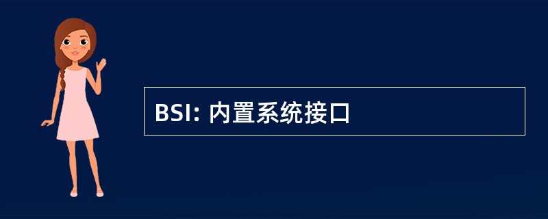 BSI: 内置系统接口