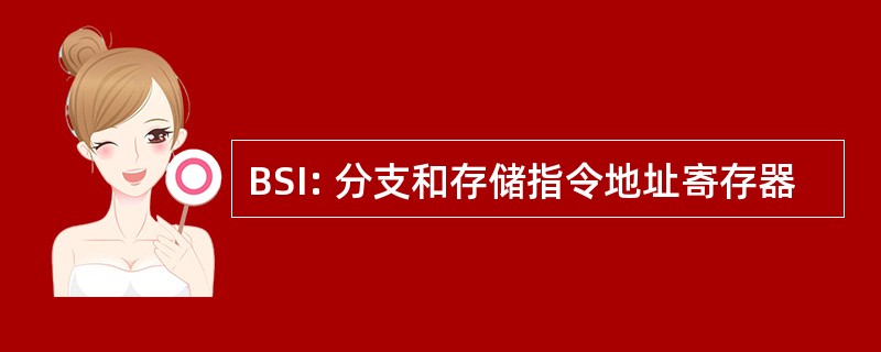 BSI: 分支和存储指令地址寄存器