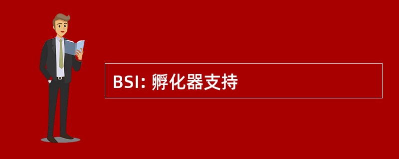 BSI: 孵化器支持