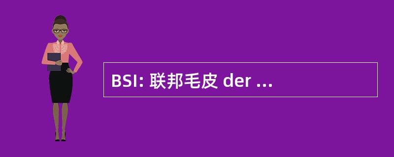 BSI: 联邦毛皮 der Informationstechnik Sicherheit