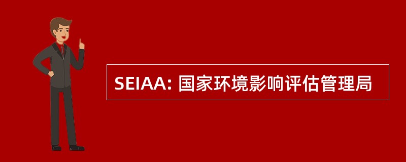 SEIAA: 国家环境影响评估管理局