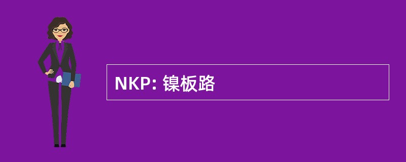 NKP: 镍板路