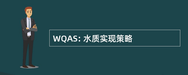 WQAS: 水质实现策略