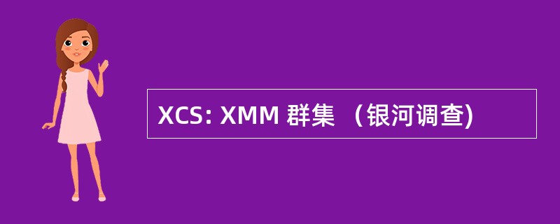 XCS: XMM 群集 （银河调查)