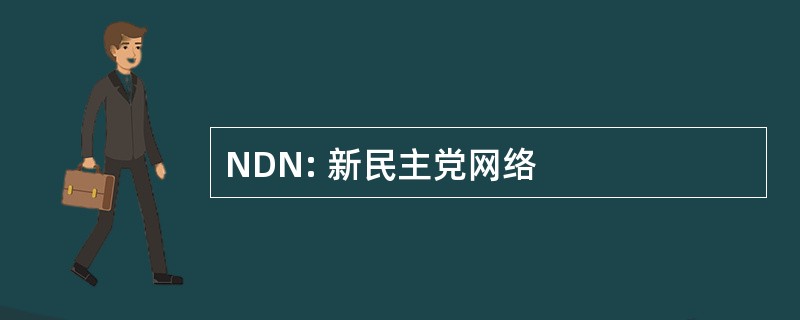 NDN: 新民主党网络