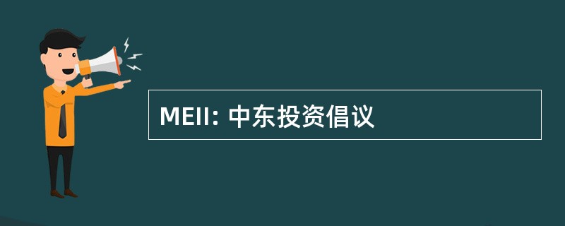 MEII: 中东投资倡议