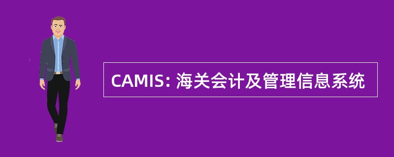 CAMIS: 海关会计及管理信息系统