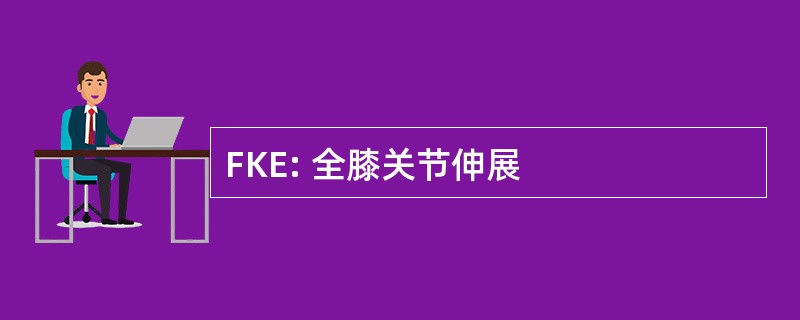 FKE: 全膝关节伸展