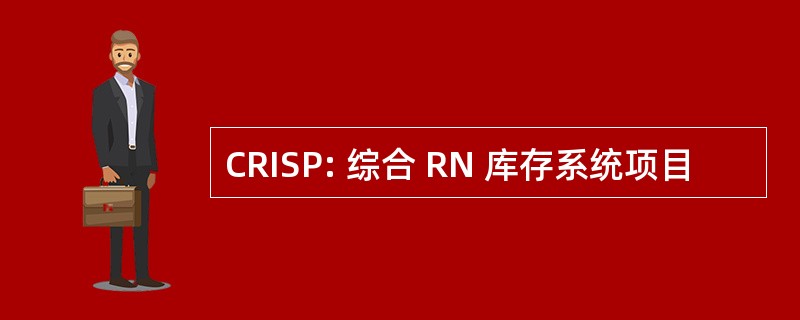 CRISP: 综合 RN 库存系统项目