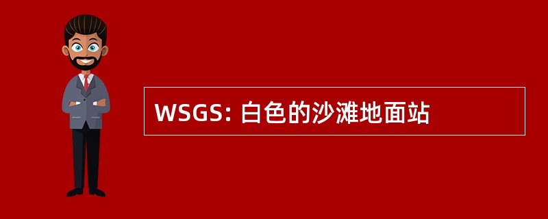 WSGS: 白色的沙滩地面站