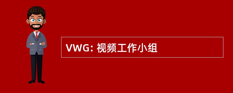 VWG: 视频工作小组