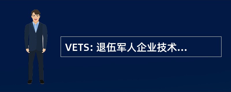 VETS: 退伍军人企业技术解决方案，公司