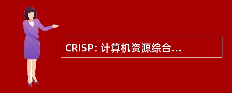 CRISP: 计算机资源综合的支助计划