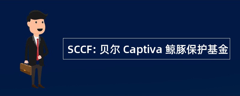 SCCF: 贝尔 Captiva 鲸豚保护基金