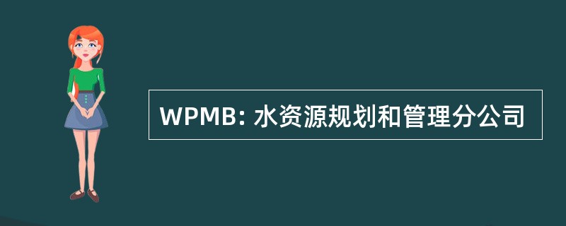 WPMB: 水资源规划和管理分公司