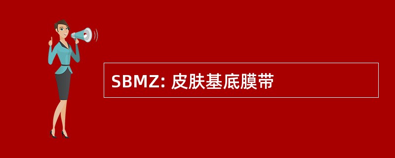 SBMZ: 皮肤基底膜带