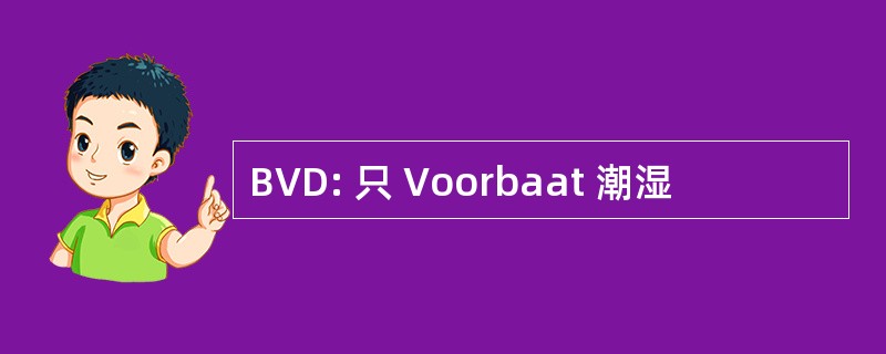 BVD: 只 Voorbaat 潮湿