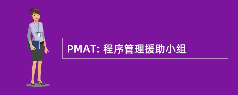 PMAT: 程序管理援助小组